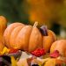 8 Interesting Facts About Thanksgiving Day